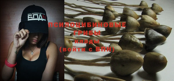 PSILOCYBIN Алексеевка