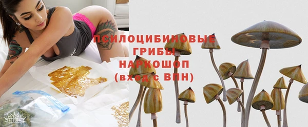 прущая мука Алзамай